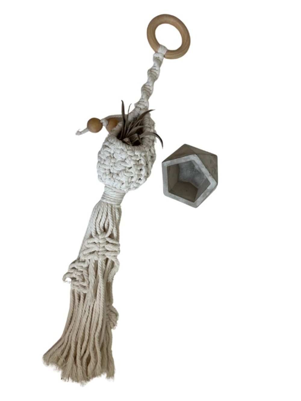 Boho Air Plant Holder Set: Macrame Wall Hanger & Geometric Concrete Stand